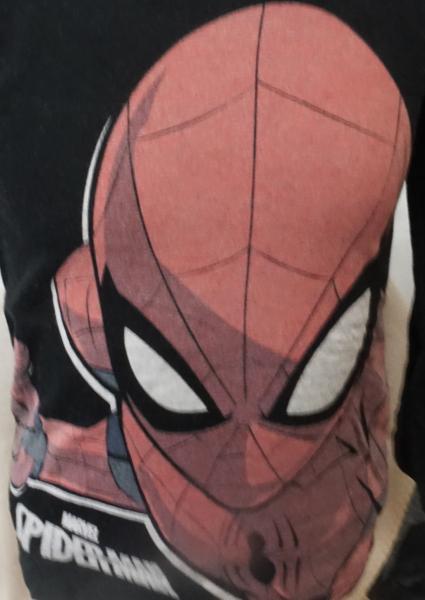 Langarmshirt Gr. 110 von Spiderman (793)